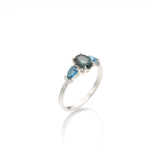 Precious Ring